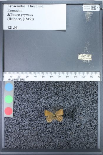 Media type: image;   Entomology 72396